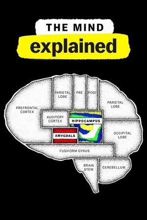 Poster for The Mind, Explained: Season 2
