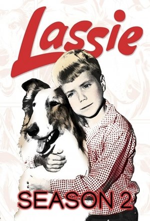 Poster for Lassie: Season 2