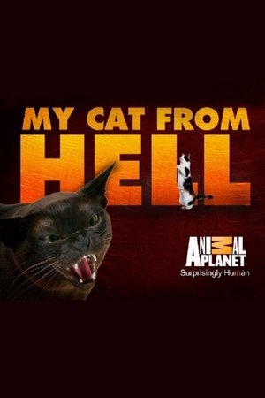 Poster for My Cat from Hell: Specials