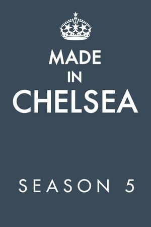 Poster for Made in Chelsea: Season 5