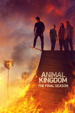 Poster for Animal Kingdom: Season 6