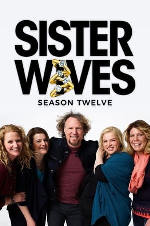Poster for Sister Wives: Season 9