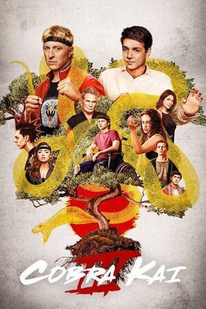Poster for Cobra Kai: Season 3