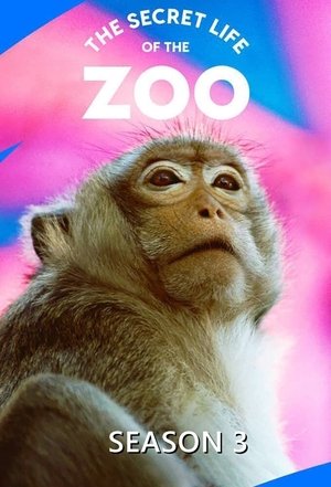 Poster for The Secret Life of the Zoo: Season 3
