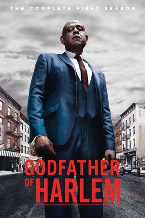 Poster for Godfather of Harlem: Season 1