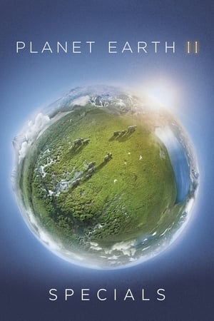 Poster for Planet Earth II: Specials