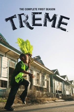 Poster for Treme: Season 1