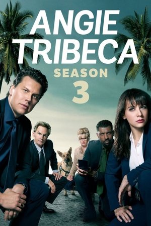 Poster for Angie Tribeca: Season 3