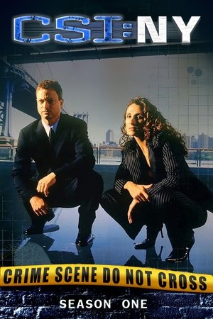 Poster for CSI: NY: Season 1