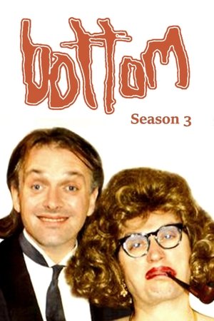 Poster for Bottom: Season 3