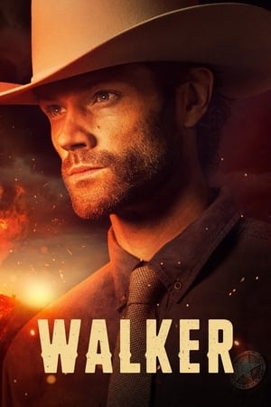 Poster for Walker: Season 2