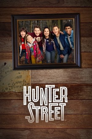 Poster for Hunter Street: Season 4