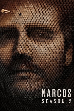 Poster for Narcos: Season 2