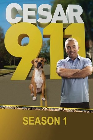 Poster for Cesar 911: Season 1