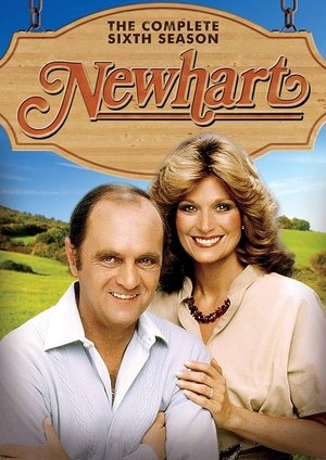 Poster for Newhart: Season 6