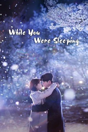 Poster for While You Were Sleeping
