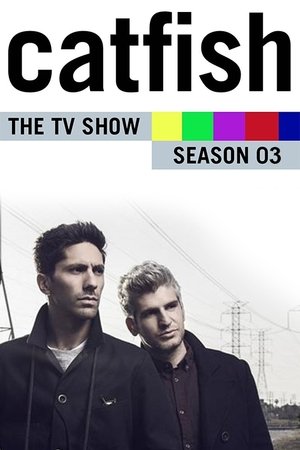 Poster for Catfish: The TV Show: Season 3