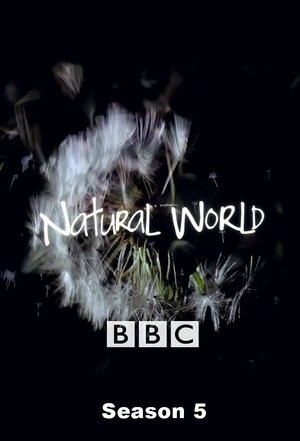 Poster for Natural World: Season 5