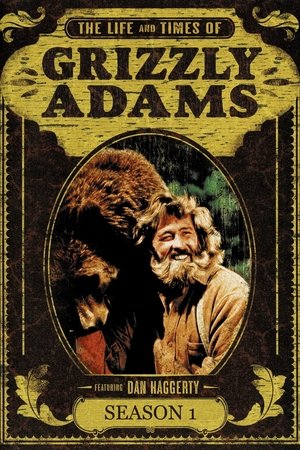 Poster for Grizzly Adams: Season 1