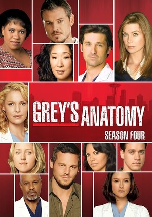 Poster for Grey's Anatomy: Season 4