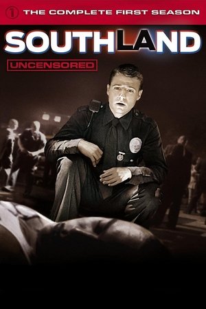 Poster for Southland: Season 1