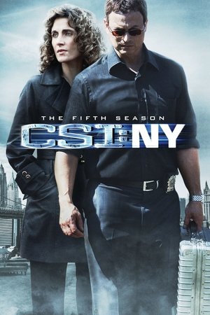 Poster for CSI: NY: Season 5