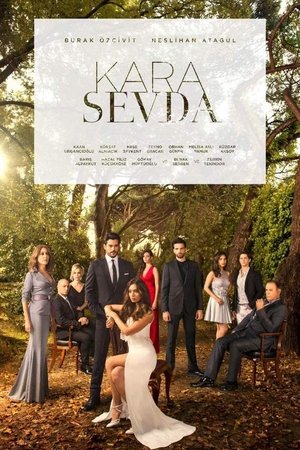 Poster for Endless Love: Season 1
