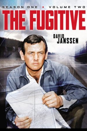 Poster for The Fugitive: Season 1