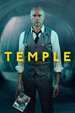 Poster for Temple: Season 1