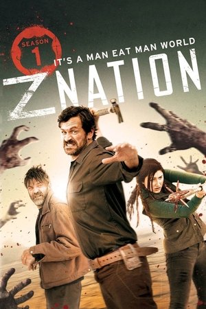 Poster for Z Nation: Season 1