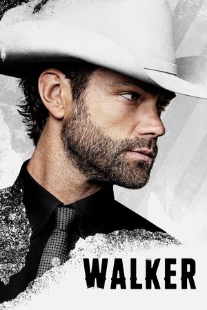 Poster for Walker: Season 3