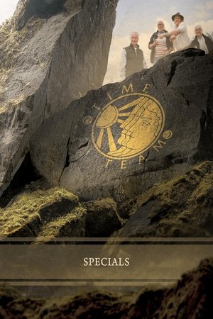 Poster for Time Team: Specials