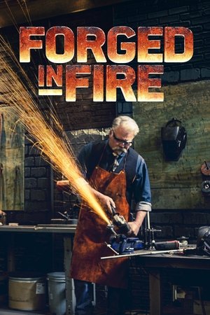Poster for Forged in Fire: Season 2