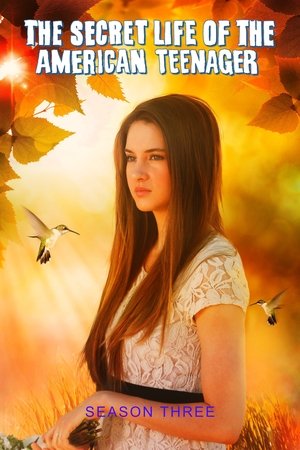 Poster for The Secret Life of the American Teenager: Season 3