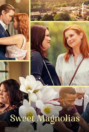 Poster for Sweet Magnolias: Season 2