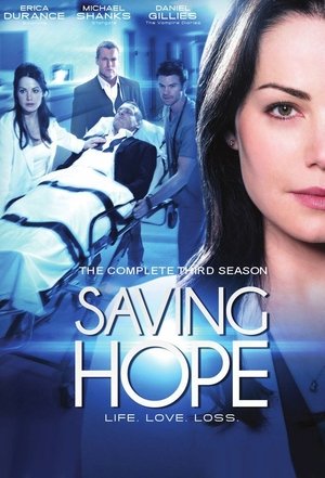 Poster for Saving Hope: Season 3