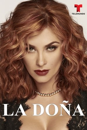 Poster for La Doña: Season 1
