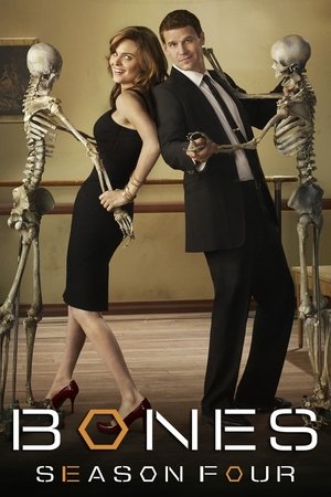 Poster for Bones: Season 4
