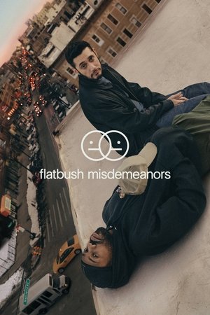 Poster for Flatbush Misdemeanors: Season 1