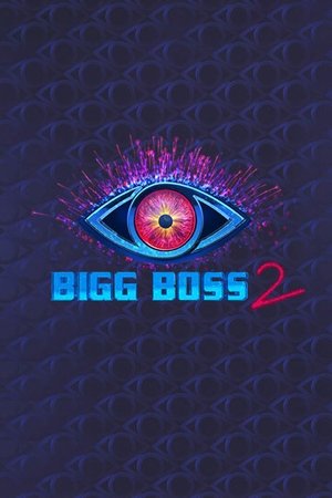 Poster for Bigg Boss Telugu: Season 2