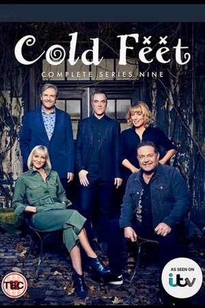 Poster for Cold Feet: Series 9