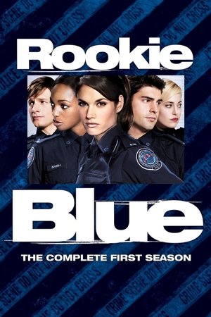 Poster for Rookie Blue: Season 1