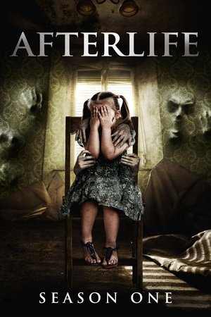 Poster for Afterlife: Season 1