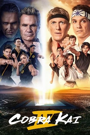 Poster for Cobra Kai
