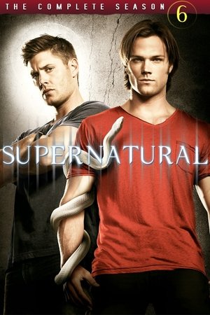 Poster for Supernatural: Season 6