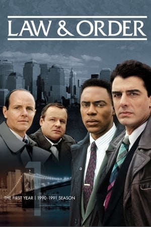 Poster for Law & Order: Season 1