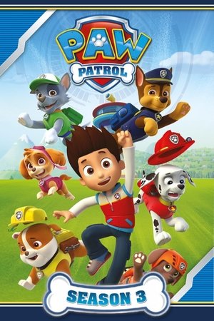 Poster for PAW Patrol: Season 3