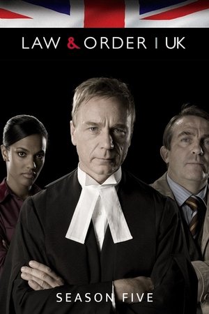 Poster for Law & Order: UK: Series 5