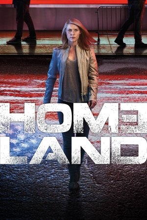 Poster for Homeland: Season 6