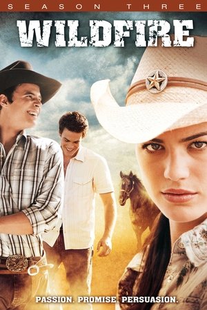 Poster for Wildfire: Season 3